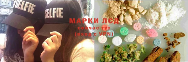 PSILOCYBIN Новодвинск