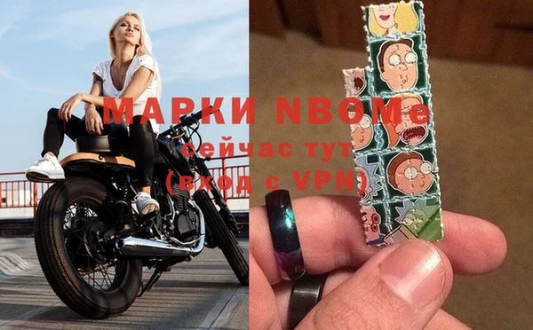 амф Новозыбков