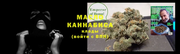 амф Новозыбков