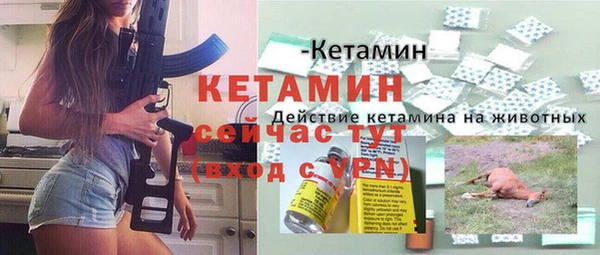 амф Новозыбков