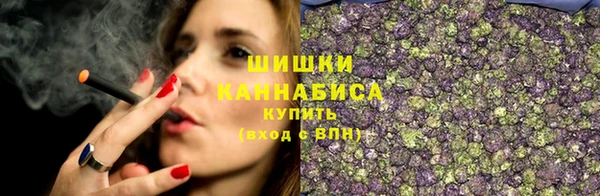 PSILOCYBIN Новодвинск