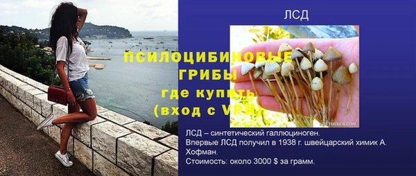 амф Новозыбков