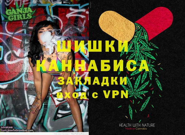 амф Новозыбков