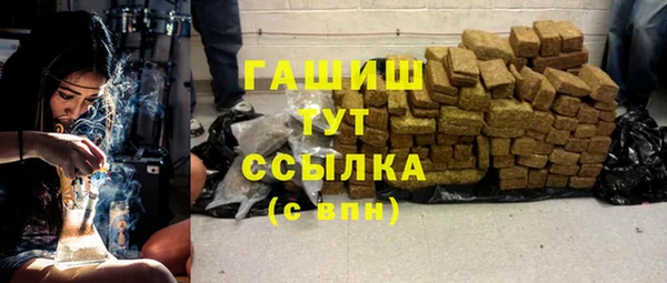 амф Новозыбков