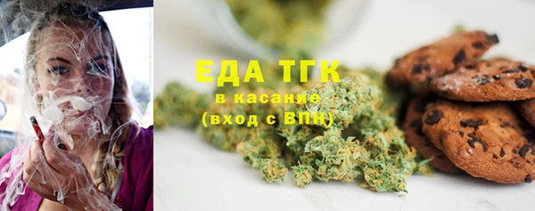 амф Новозыбков