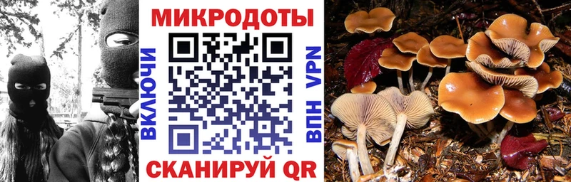 Галлюциногенные грибы Magic Shrooms Партизанск