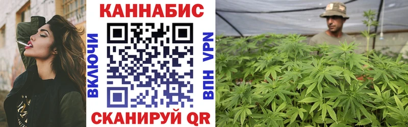 Бошки марихуана SATIVA & INDICA  купить наркоту  Партизанск 